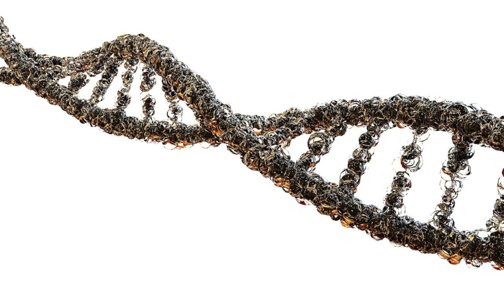 Chemical Engineering in the Life Sciences: Pioneering the Future of Healthcare