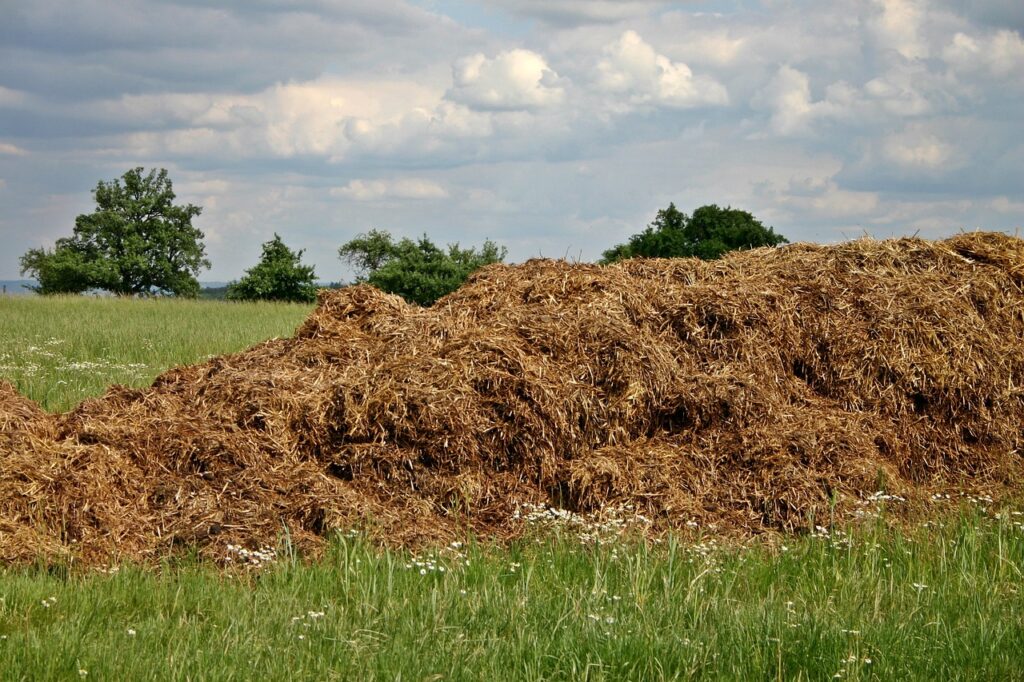 Cultivating Sustainability: The Role of Manure in Organic Farming