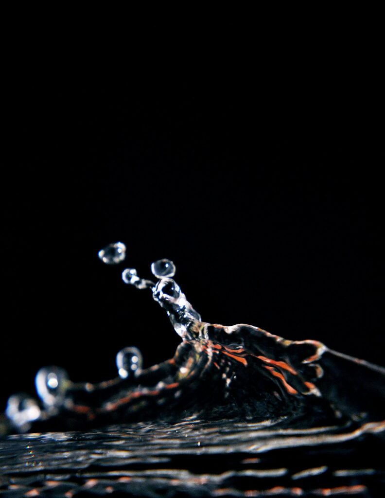 Exploring the Complexity of Multiphase Fluids: Insights into an Intriguing Realm