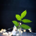 The Plastic Paradox: Can Advanced Recycling Solve Our Waste Crisis?